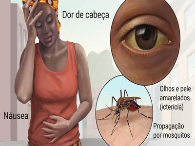 SEMUSA emite alerta para casos de Febre Amarela em várias cidades mineiras – Em 2001 foram registradas 6 mortes em Divinópolis